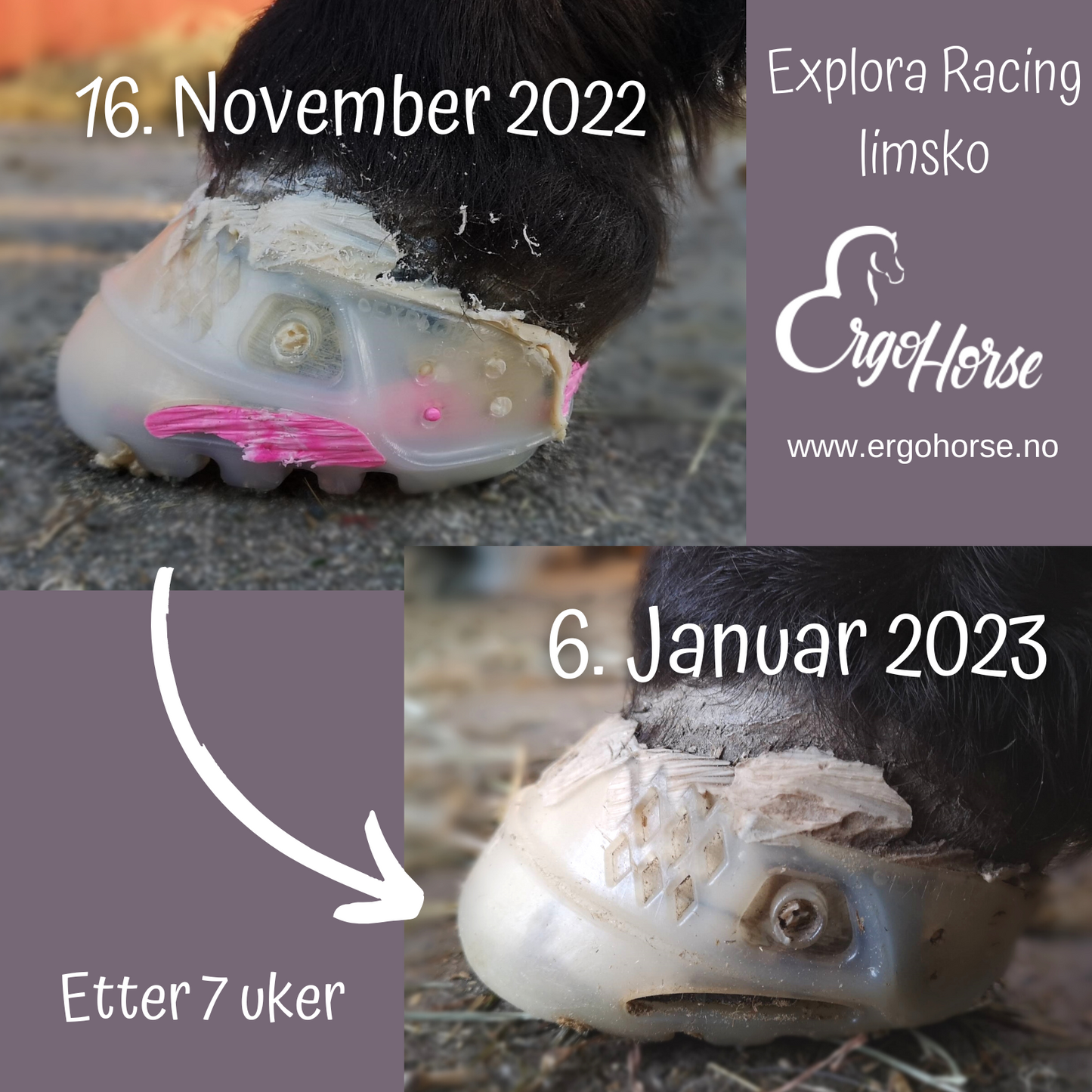 Startkit Explora Racing limsko - Pakkepris
