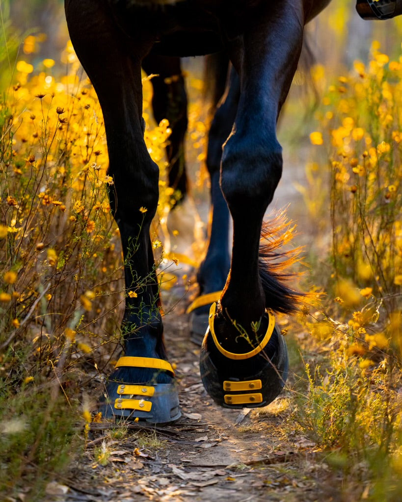 Lagersalg: Scoot Boots - 1 stk