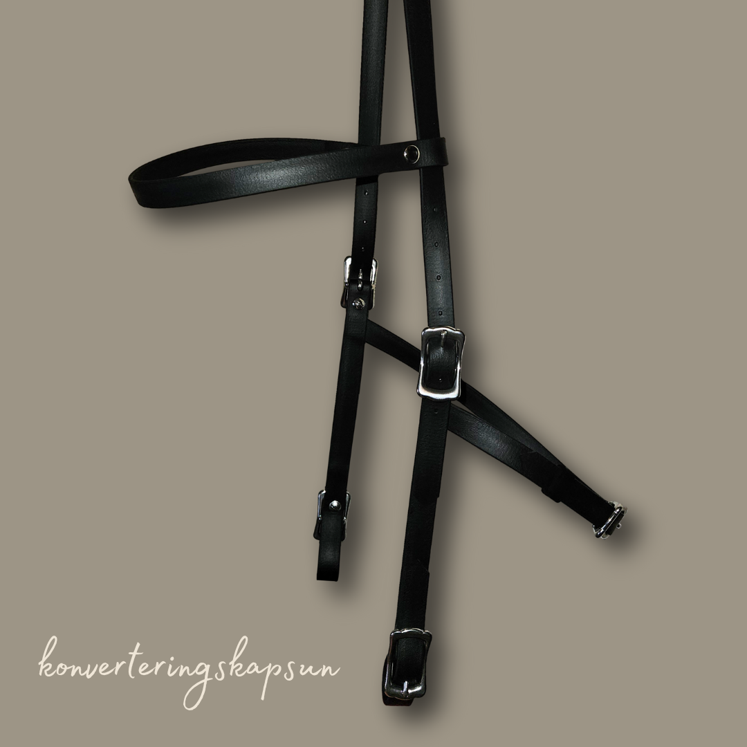 Konverterings- Cavesson / Kapsun