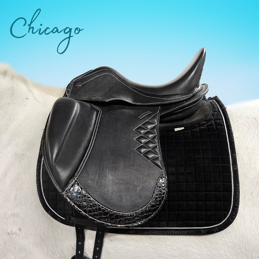 Chicago - Dressursal - 18"