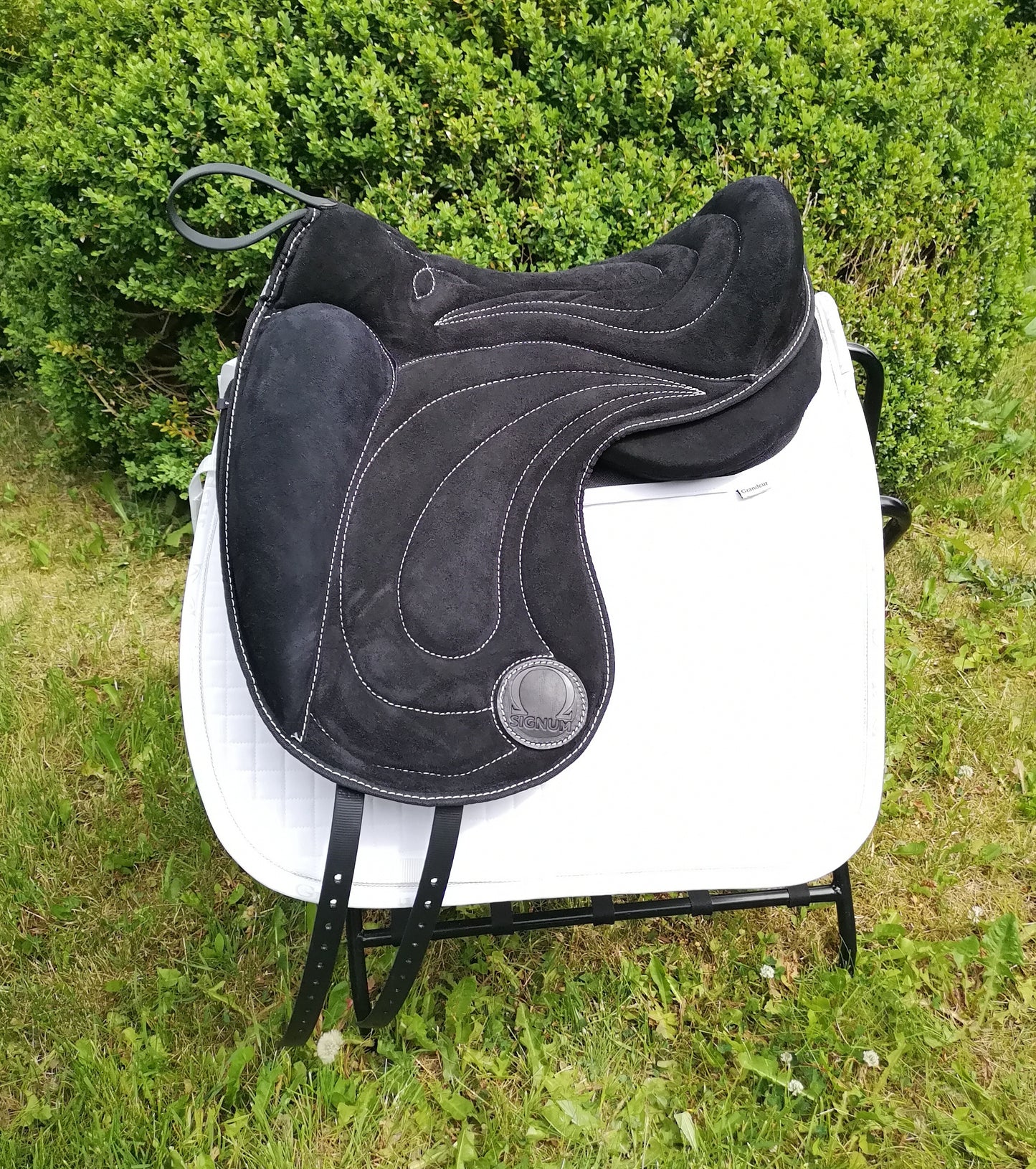 OMEGA Innovation Pad - Dressur - Svart
