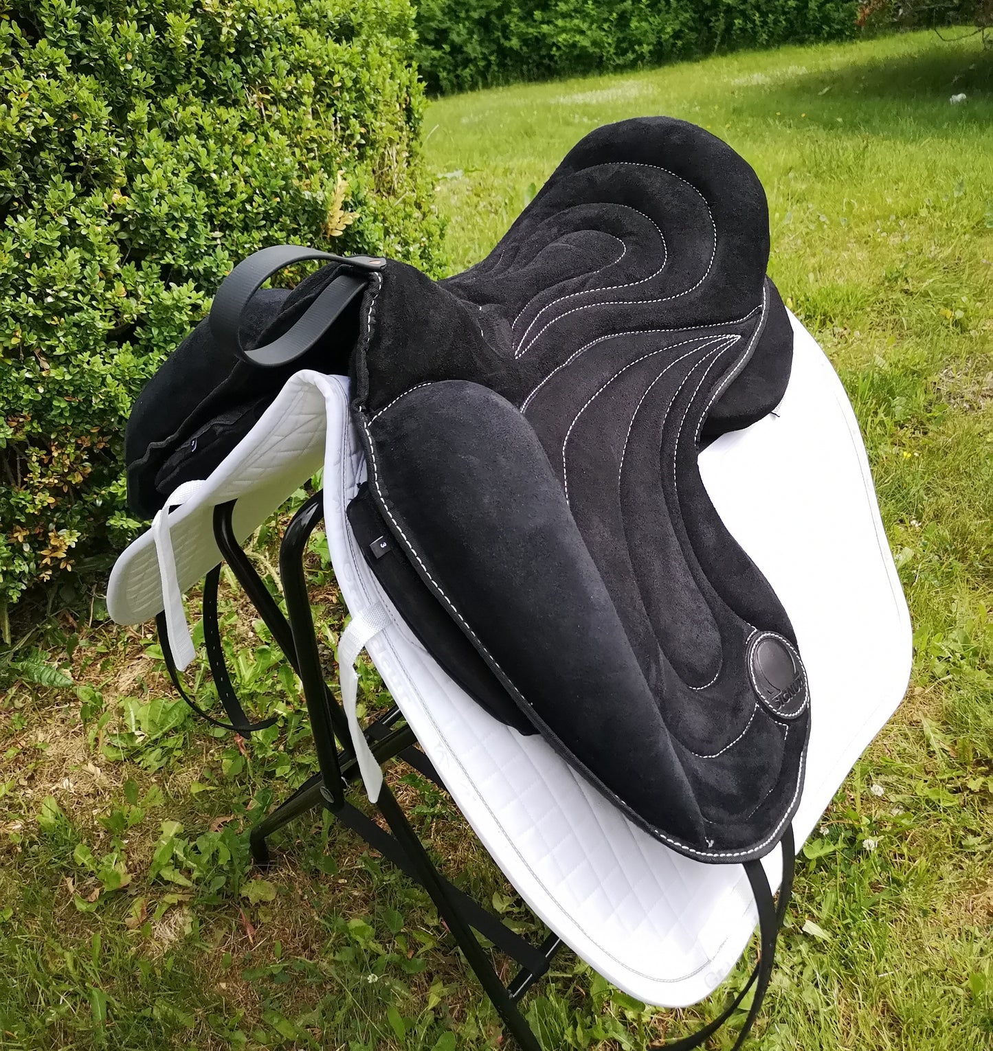 OMEGA Innovation Pad - Dressur - Svart