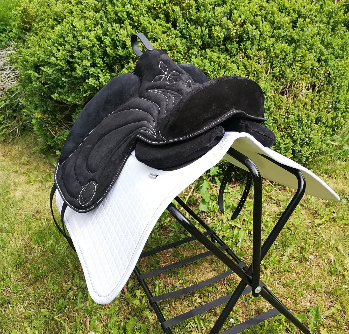 OMEGA Innovation Pad - Dressur - Svart
