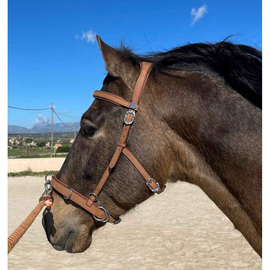 Multikapsun Saint Louis - inkl tøyler