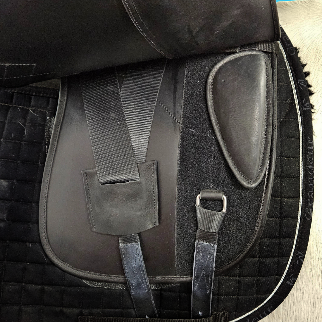 Chicago - Dressursal - 18"