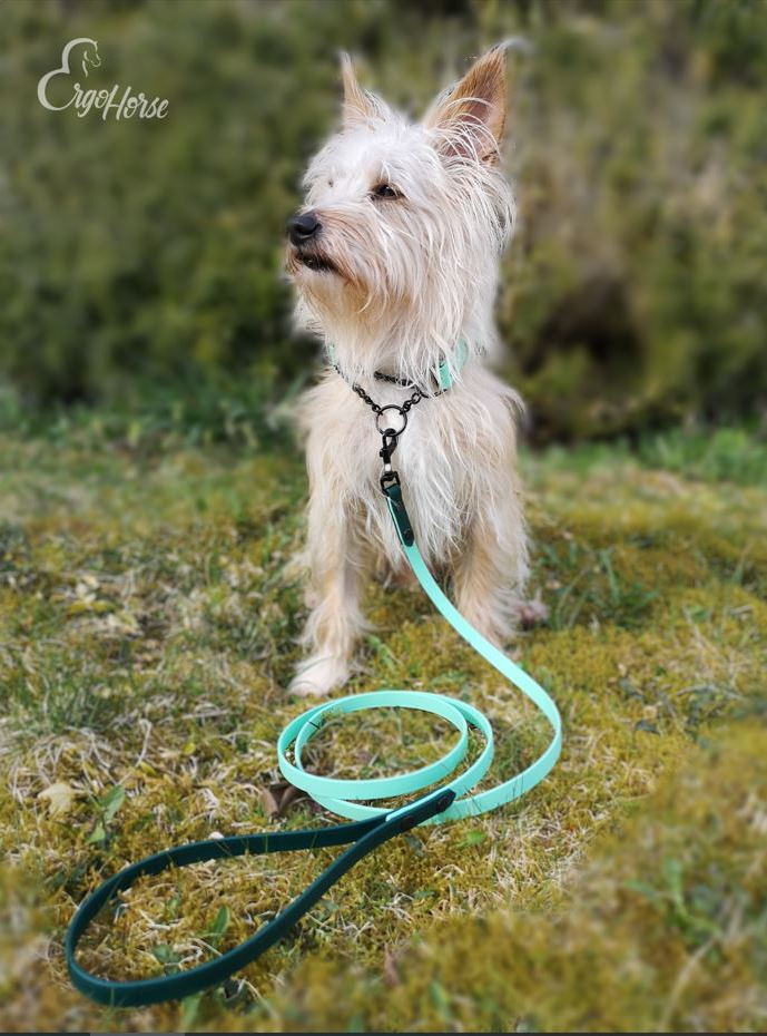 SALG! Beta Biothane - Karibigrønn