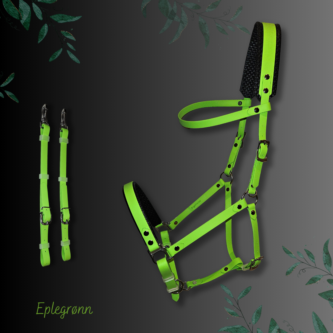 Beta Tur -og distansehodelag