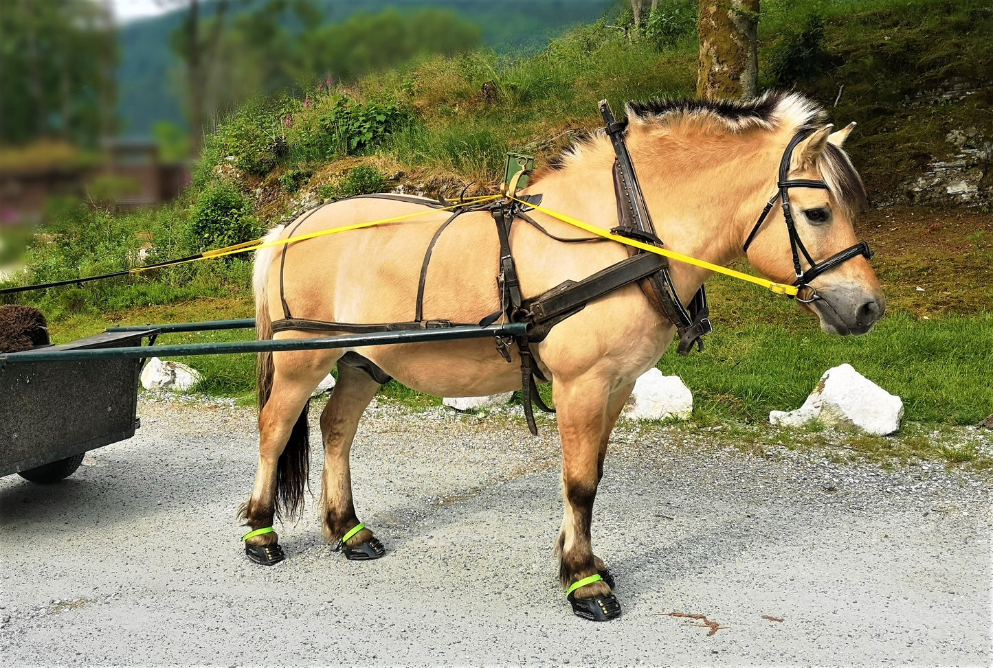 Beta Kjøretømmer med Supergrip