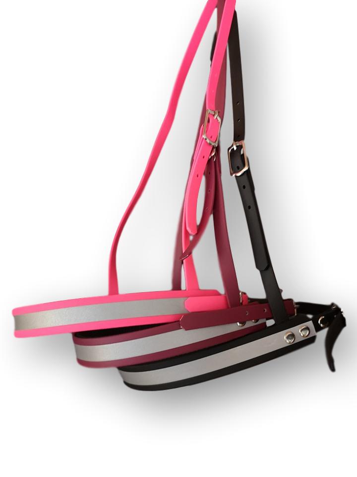 Engelsk refleks hodelag