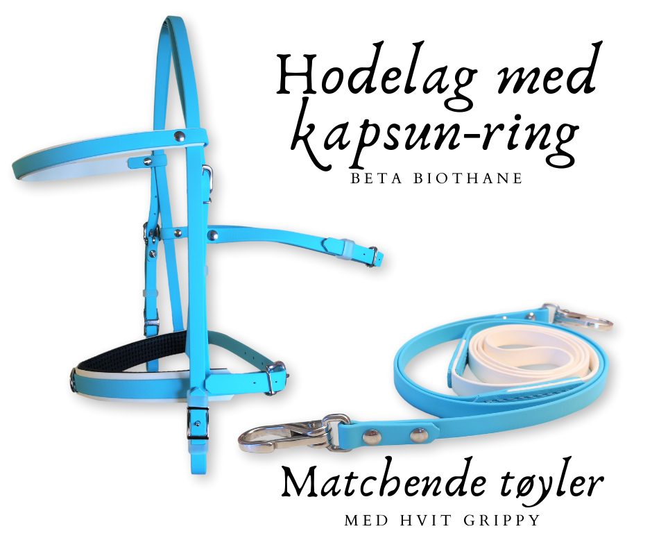 Beta hodelag med kapsun-ring -shettis