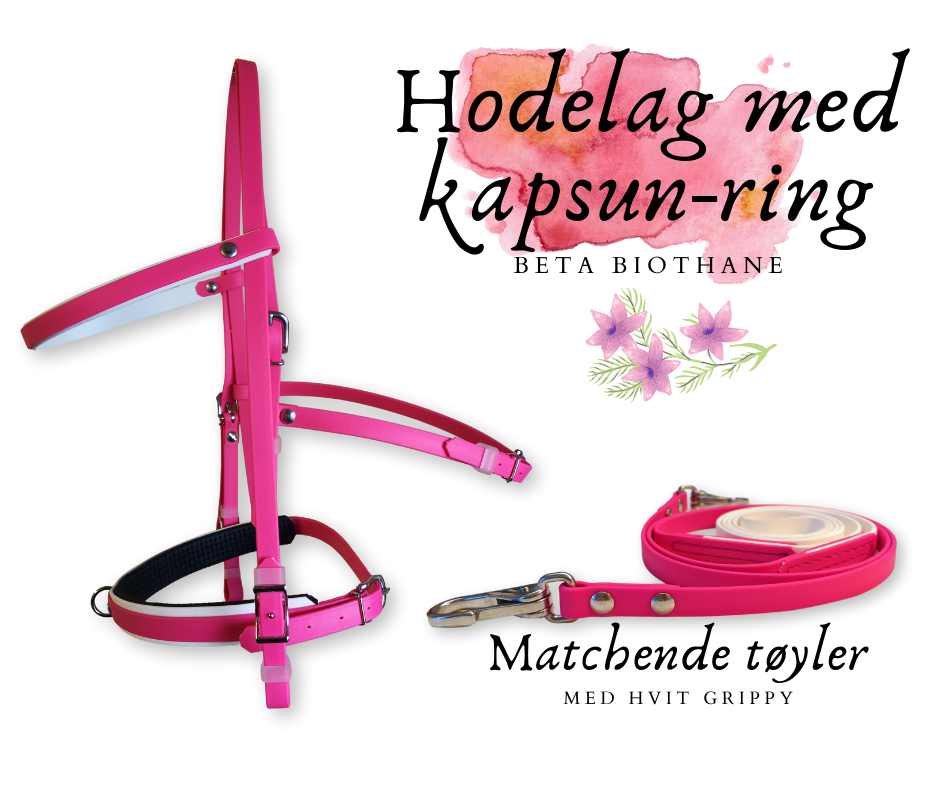 Beta hodelag med kapsun-ring