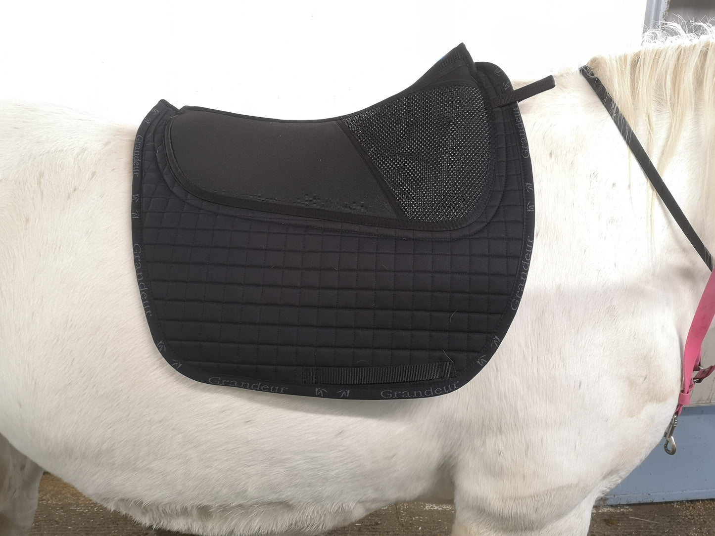 Grandeur Physio Pad - Valencia