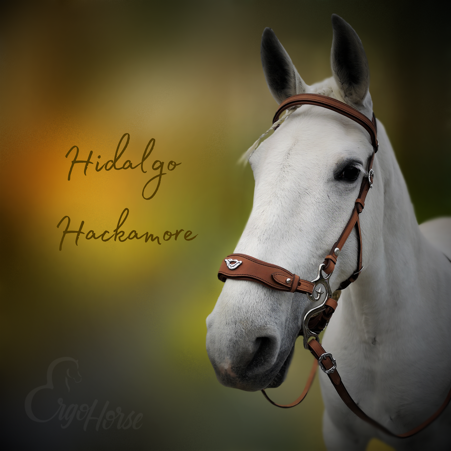 SALG: Hidalgo Hackamore str Full