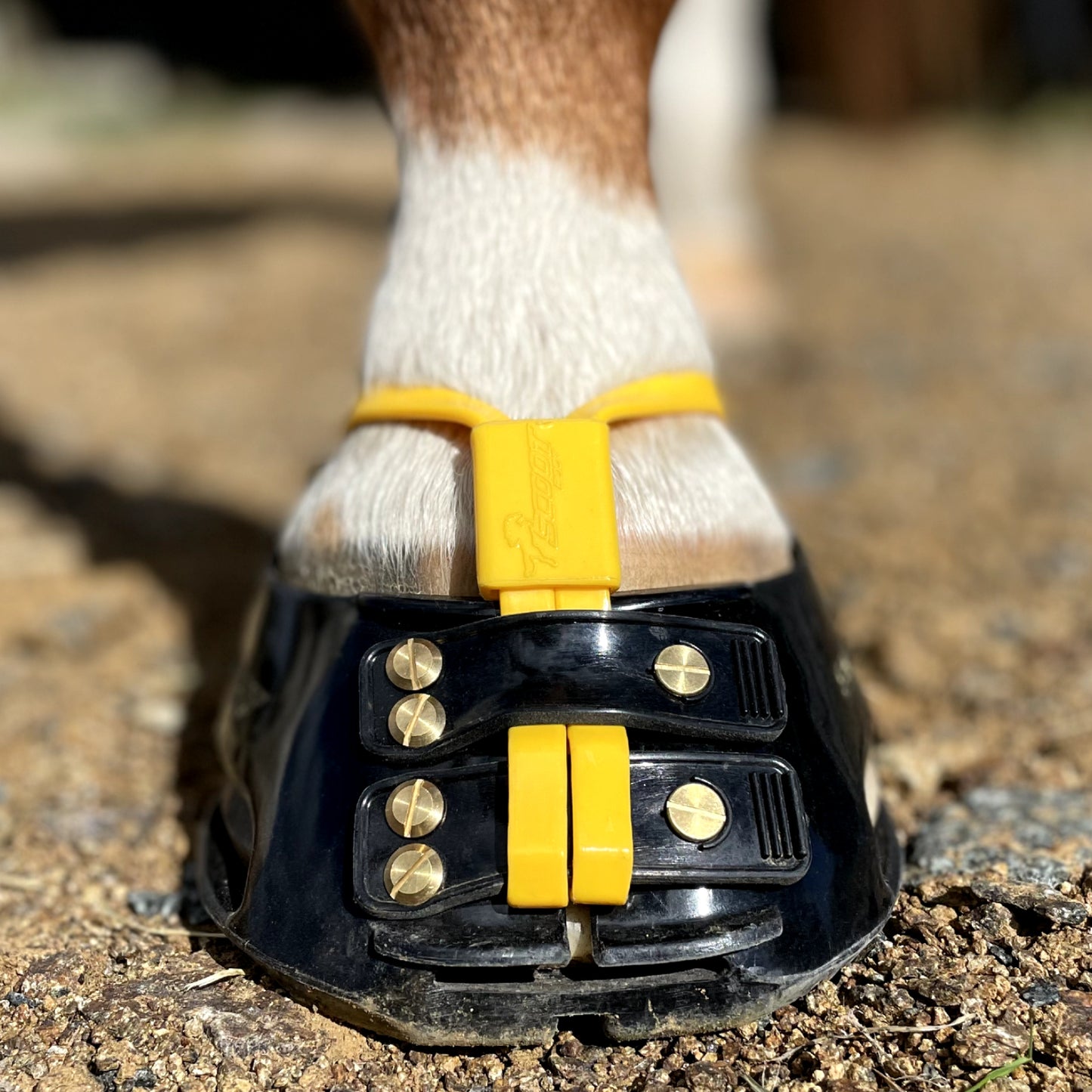Mud Straps - 1 par