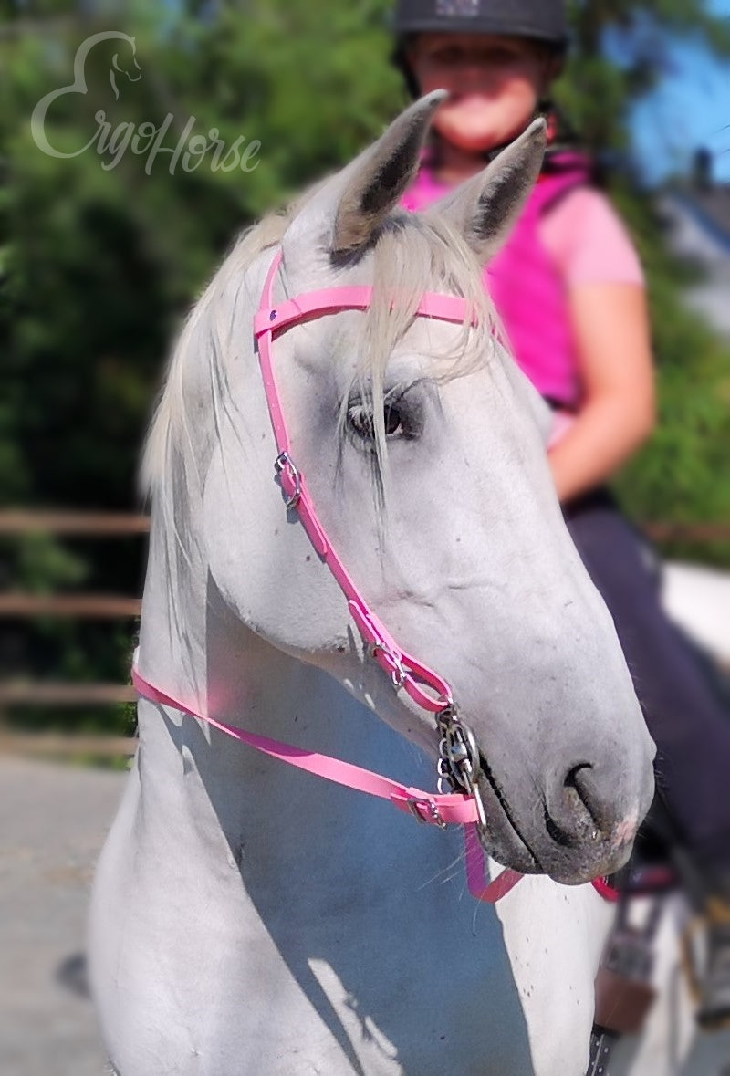 Enkelt Beta Hodelag - 19 mm bredde