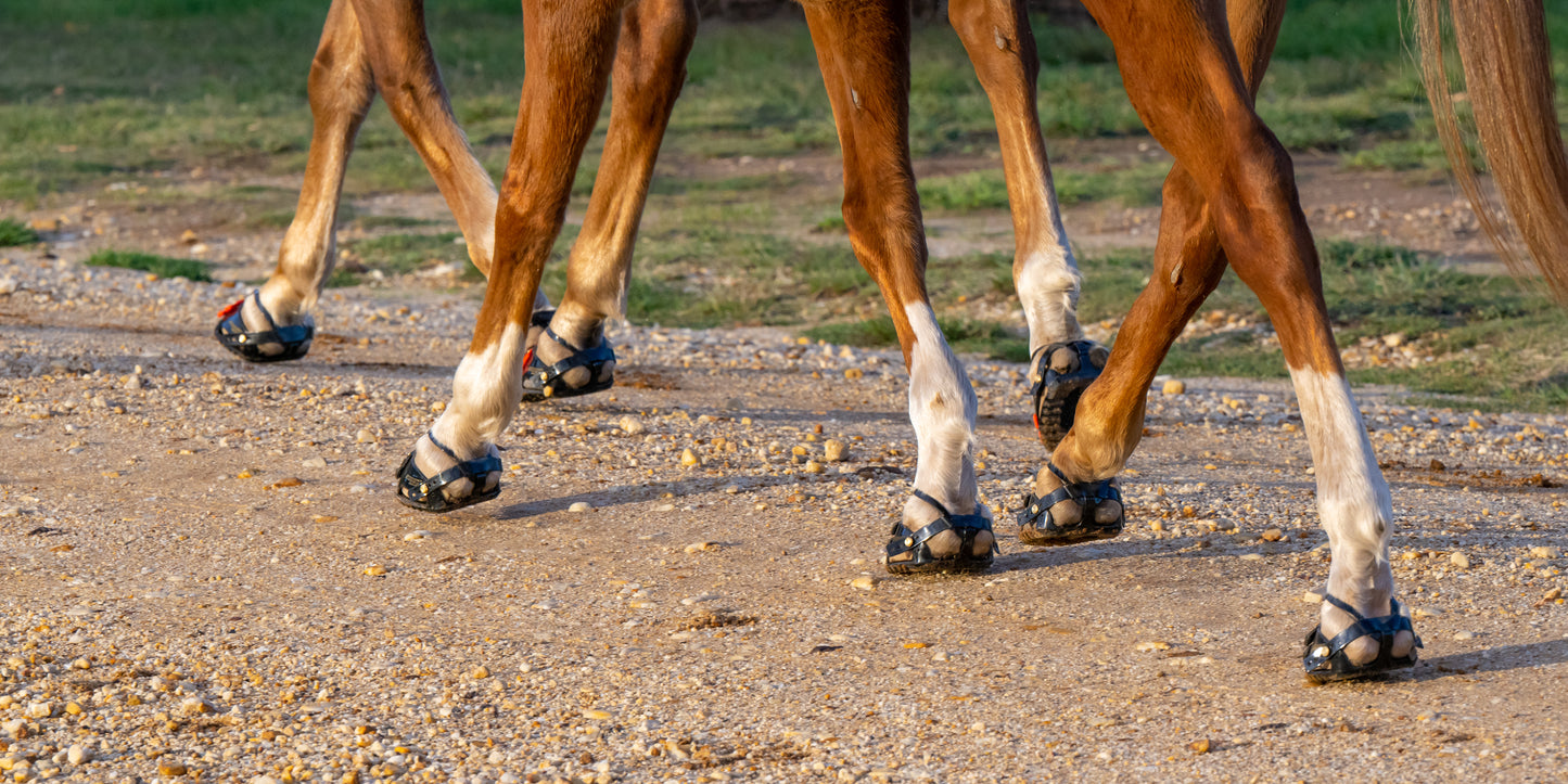 Scoot Boots - Enduros