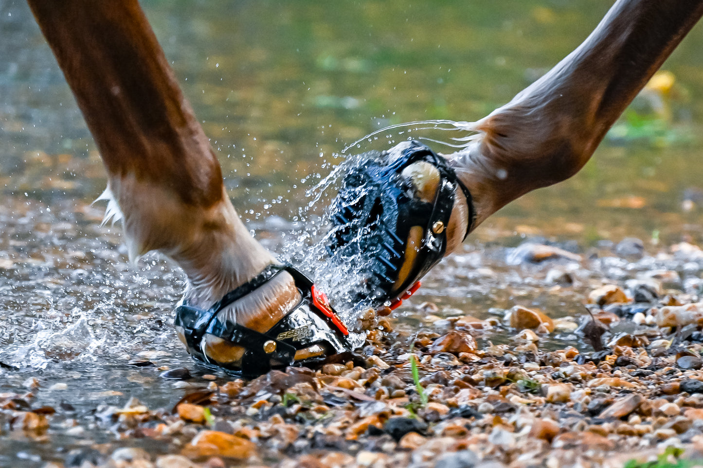 Scoot Boots - Enduros