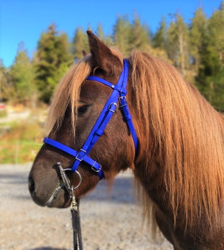 Enkelt beta hodelag