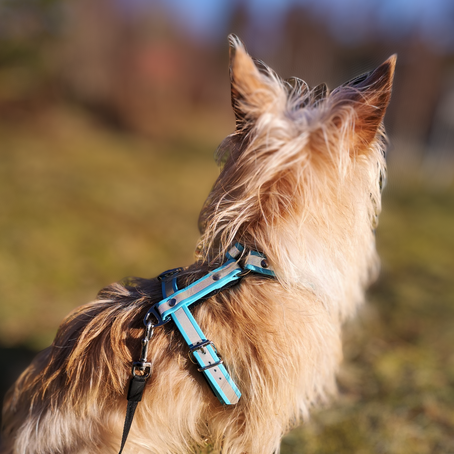 Beta refleks Y-sele 19mm