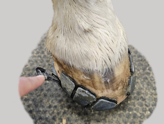 Fiks det selv - Flapp som har løsnet på Runa sko!