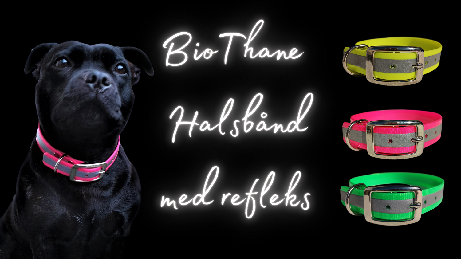 BioThane halsbånd med refleks til hund