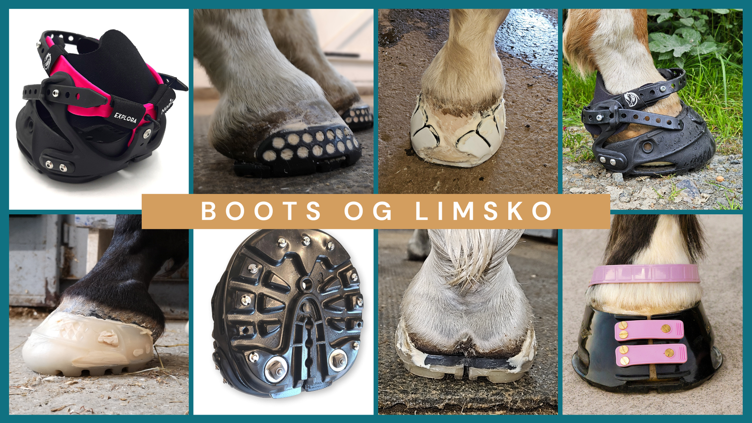 boots og limsko