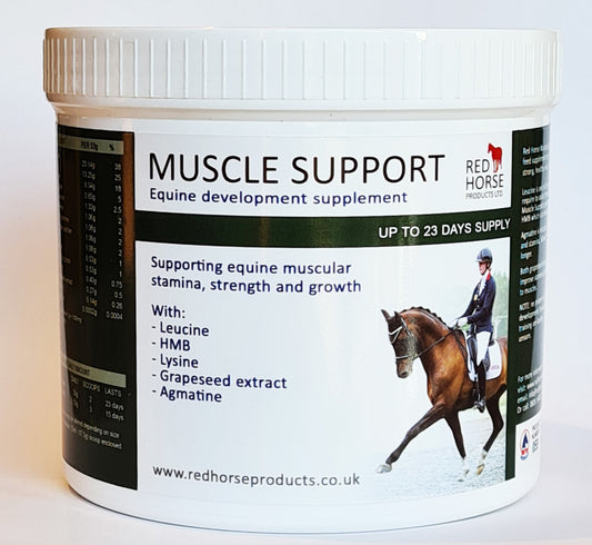 SALG: Muscle support