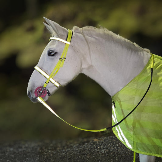 Tundra Night - Refleks hodelag