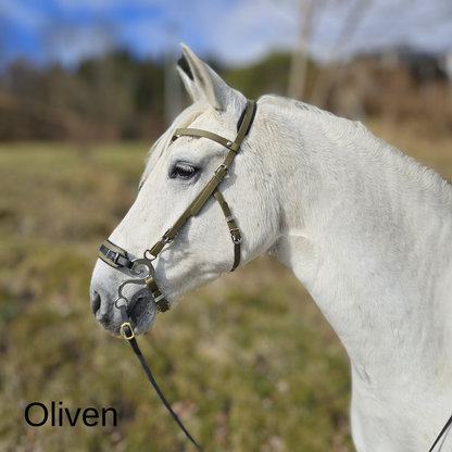Multi Hackmore hodelag - music shanks