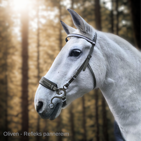 Hackamore hodelag - Music shanks