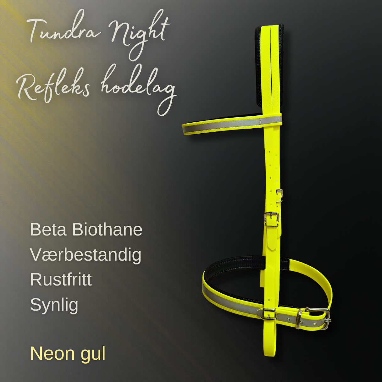 Tundra Night - Refleks hodelag