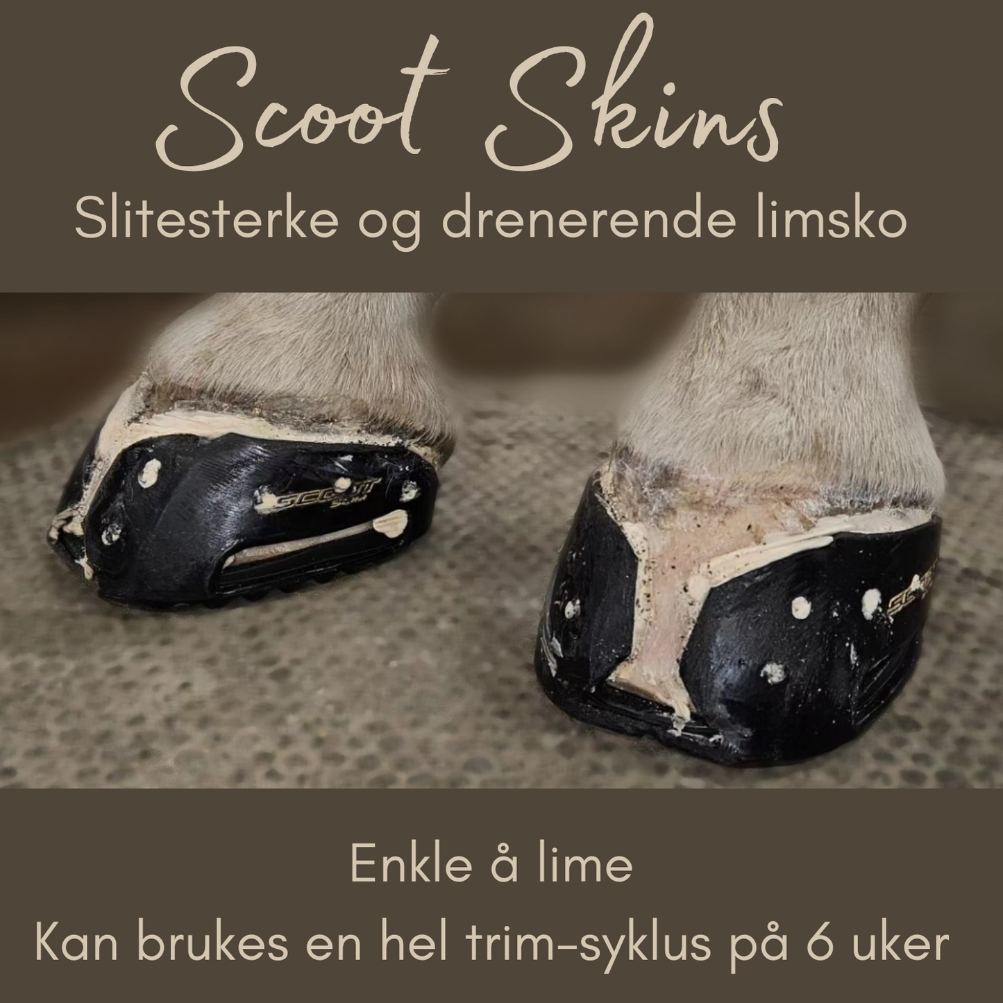 Startkit Scoot Skins limsko - Pakkepris
