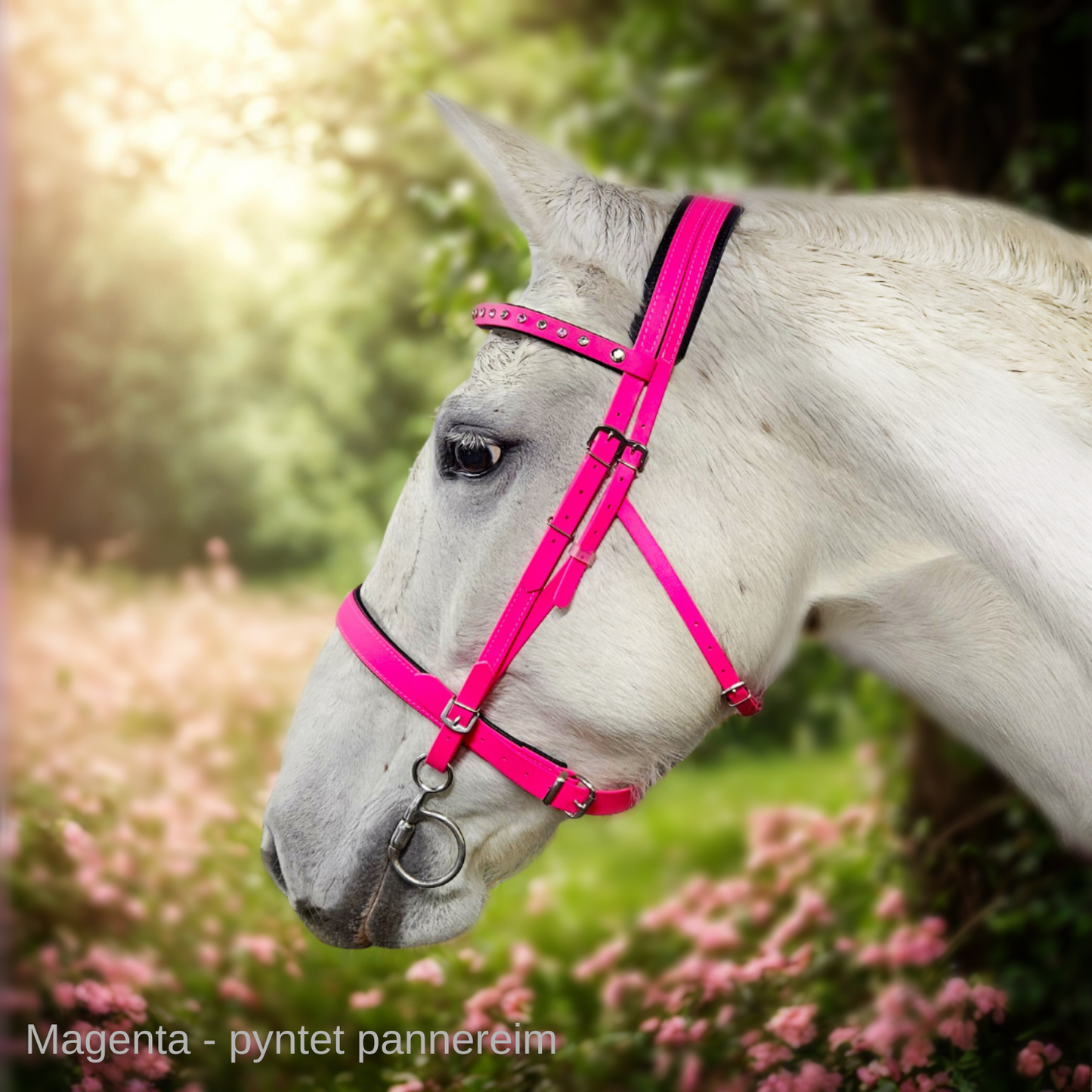 Tundra Classic hodelag