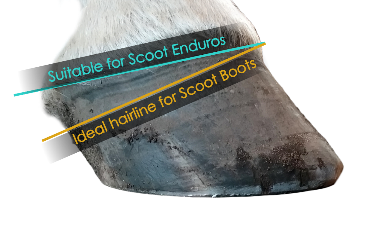 Scoot Boots - Enduros