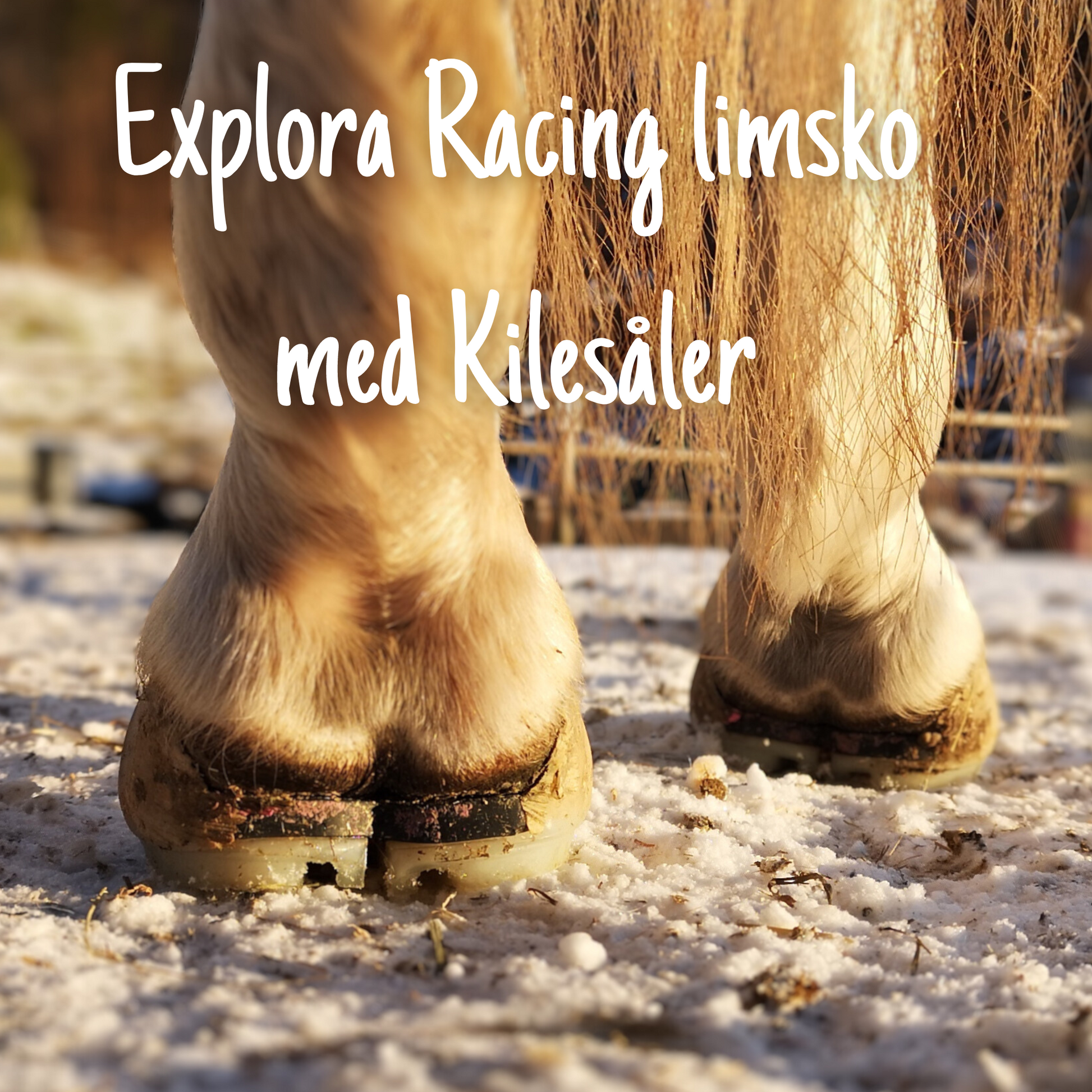 Explora Racing Glue-On boot - Explora Horse Boots