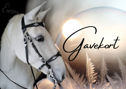 Gavekort - Vinter